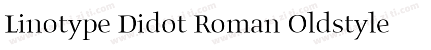 Linotype Didot Roman Oldstyle Figures字体转换